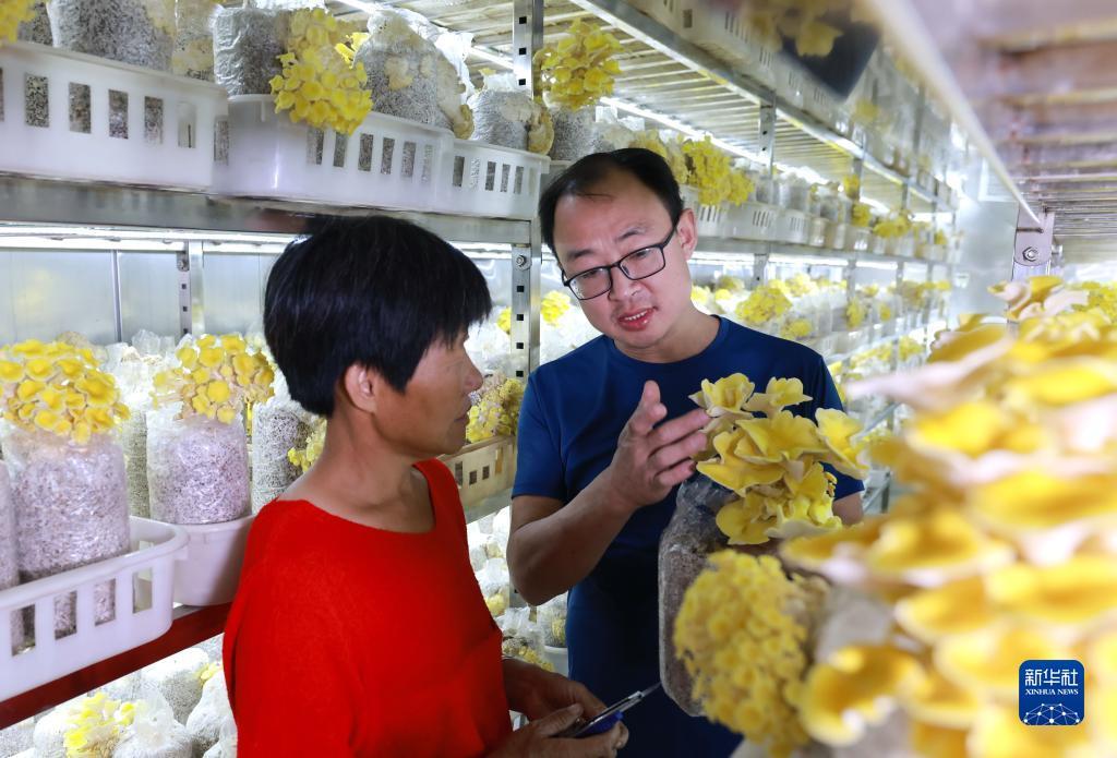 棋牌游戏网页版源码